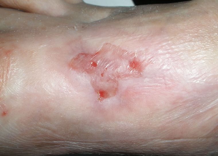 ....lassen sich schon viel Zeit